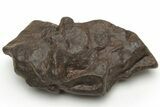 Chondrite Meteorites (Each Piece 10-20g) - Western Sahara Desert - Photo 4